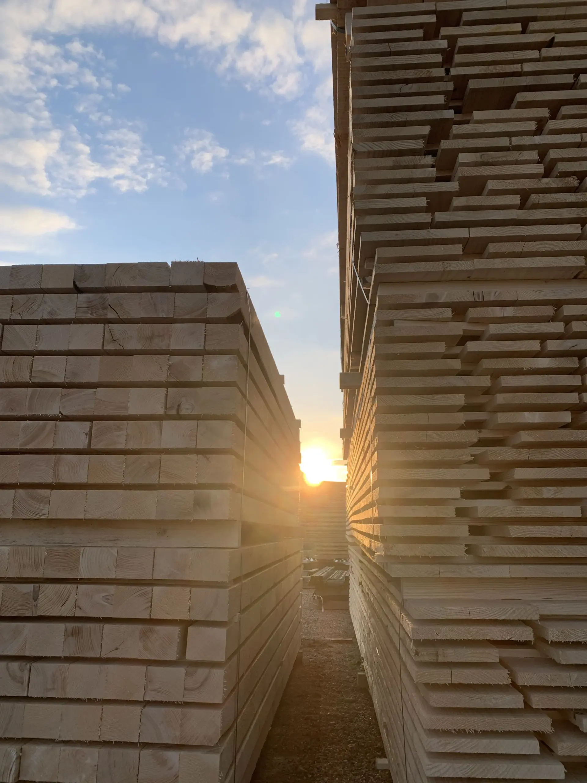 Gestapeltes Schnittholz als Lagerware – ordentlich aufgeschichtetes Bauholz.